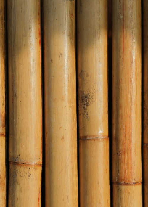 Masáž bambusovými tyčemi